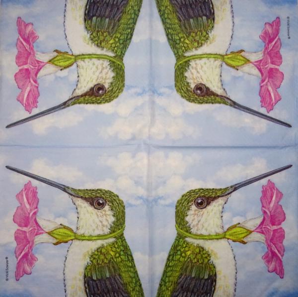 031 Vögel - 3-ply - ppd - Fringe